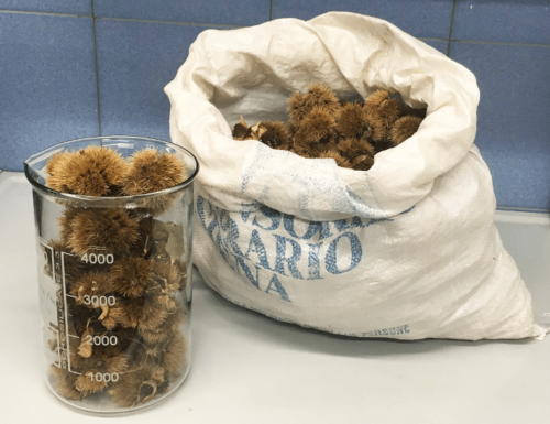 Biocastanea project at the ERIAFF annual conference
