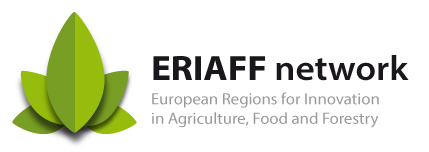 Eriaff network logo